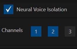 Neural Voice Isolation