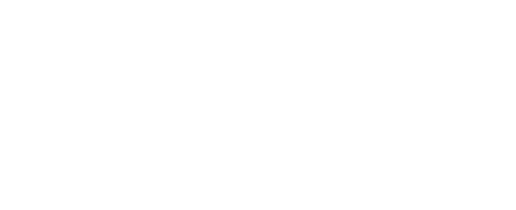 SportsInnovation logo